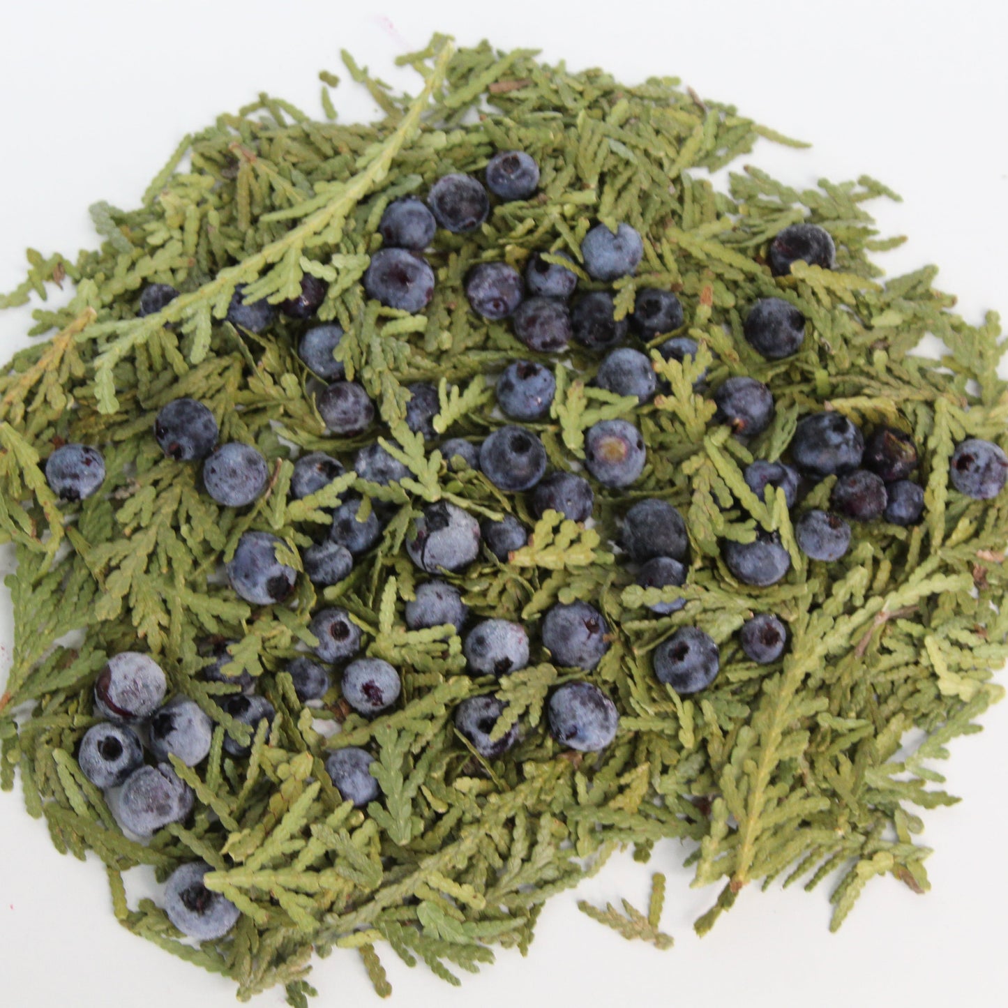Blueberry & Cedar Tea